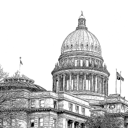 capitol ink drawing
