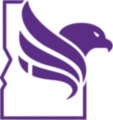 IFF Logo