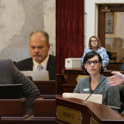NEWS: Two Idaho lawmakers call on DHW to pause childcare payments tanner-lenney