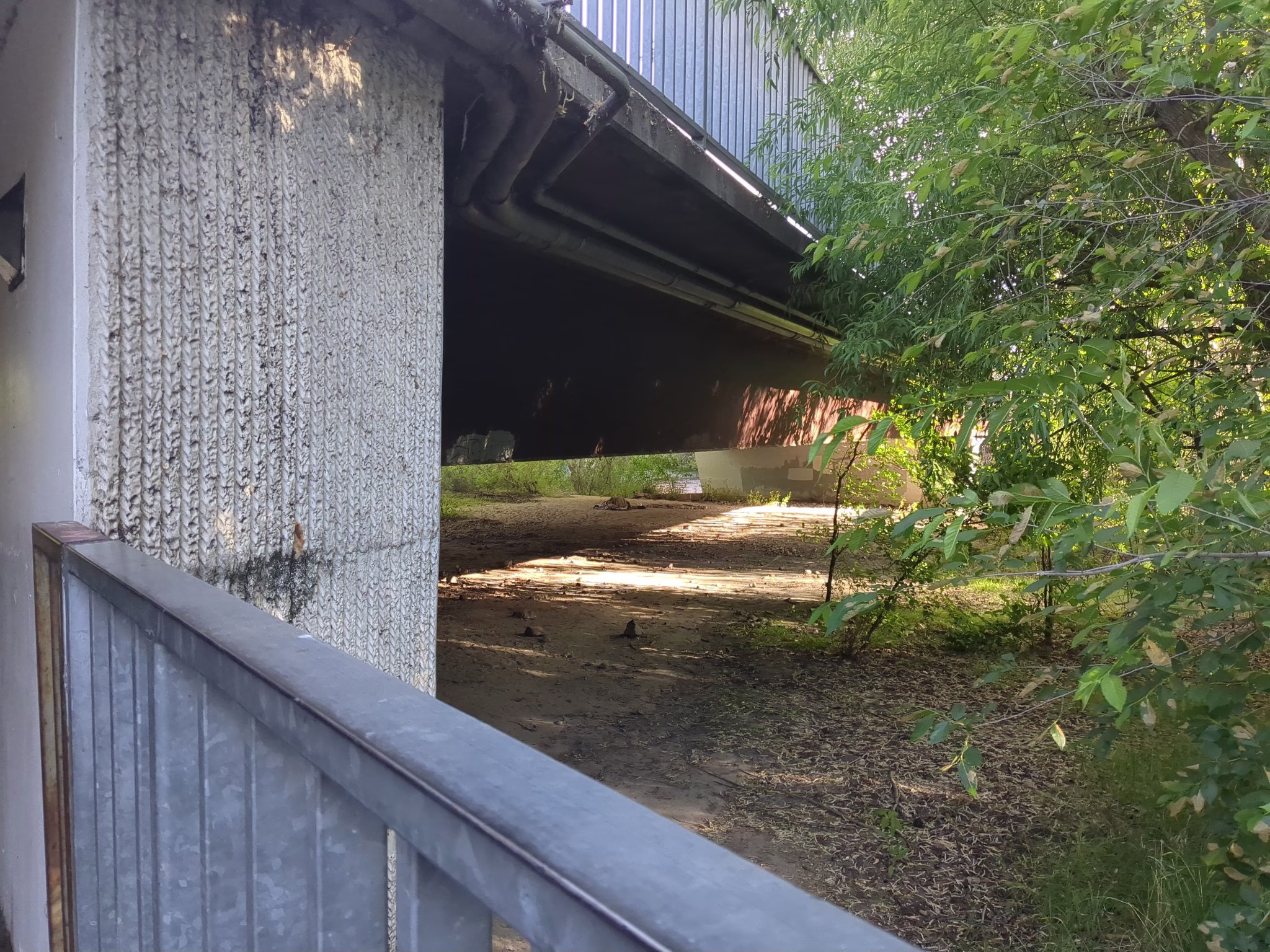 Boise's Public Camping Ban and the Greenbelt Debate 1 5 jpg