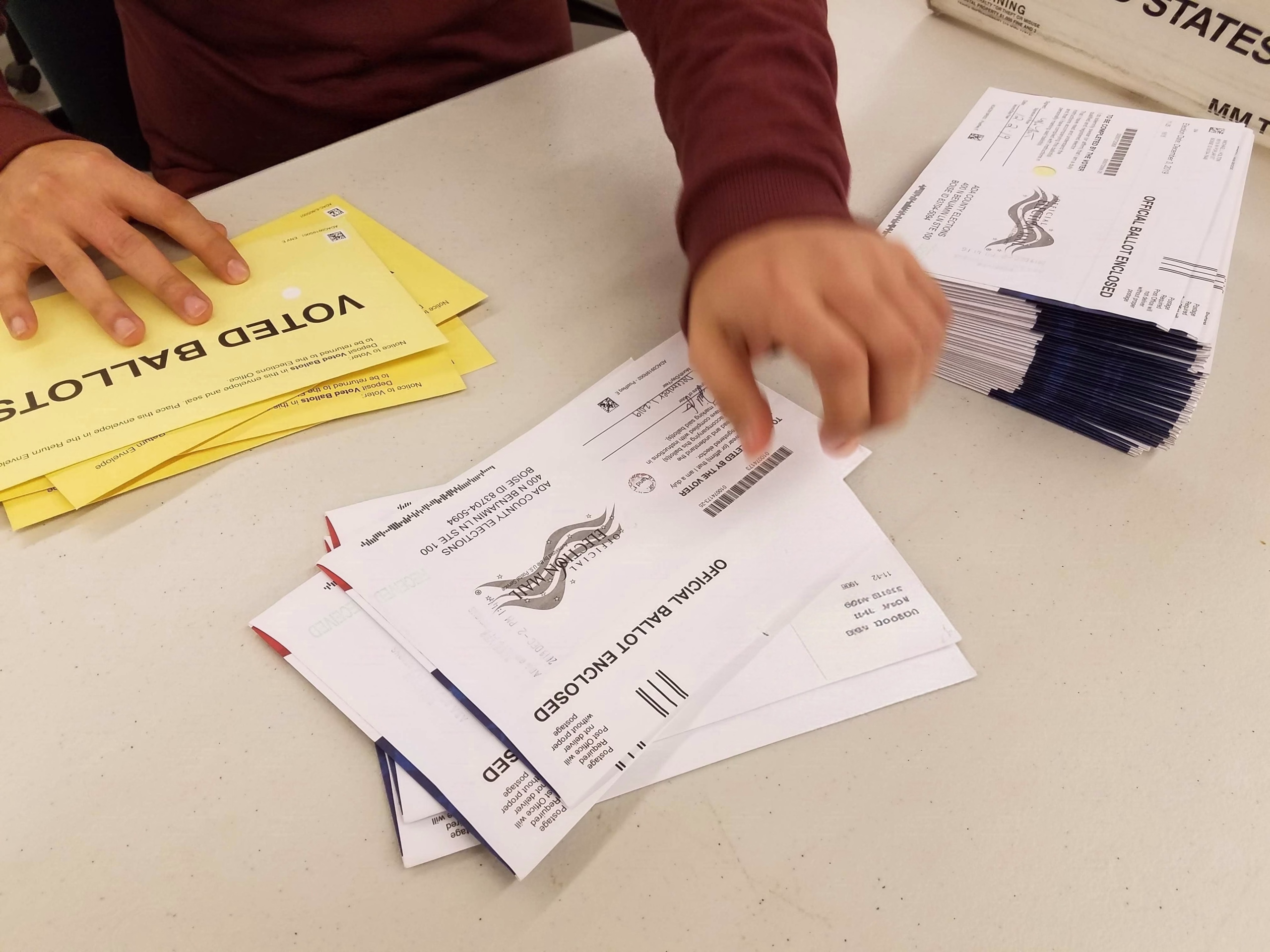Election workers separate the ballot inside the secrecy sleeve from the outer envelope prior to tabulating